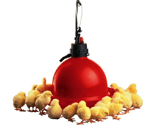 BEBEDERO BROILER T60